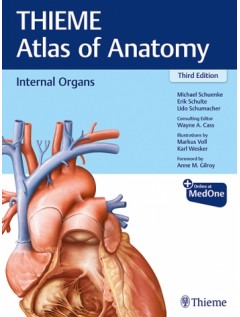 Internal Organs (THIEME Atlas of Anatomy)